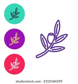 Set line Olives branch icon isolated on white background. Set icons colorful. Vector