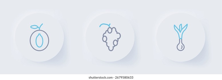 Set line Onion, Grape fruit and Plum icon. Vector