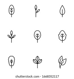 Conjunto de líneas, hojas de contorno, hoja aislada en fondo blanco. Elementos florales, iconos botánicos Vector EPS