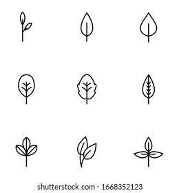 Set of line, outline leaves, leaf isolated on white background. Floral elements, botanical icons EPS Vector