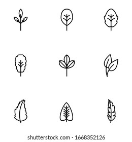 Set of line, outline leaves, leaf isolated on white background. Floral elements, botanical icons EPS Vector