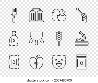 Set line Pack full of seeds of plant, Little chick in cracked egg, Apple, Garden rake, Udder, Pig and hose icon. Vector