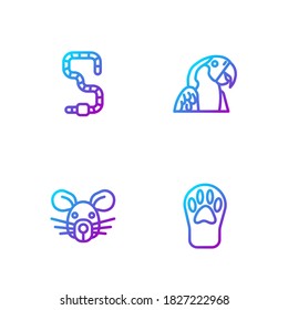 Set line Paw print, Rat head, Worm and Macaw parrot. Gradient color icons. Vector