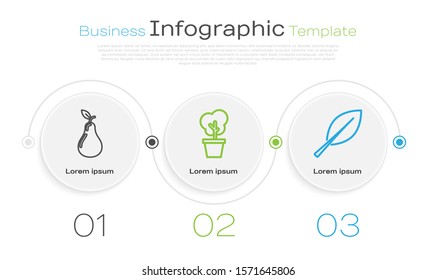 Set Line Pear, Tree In Pot And Leaf. Business Infographic Template. Vector