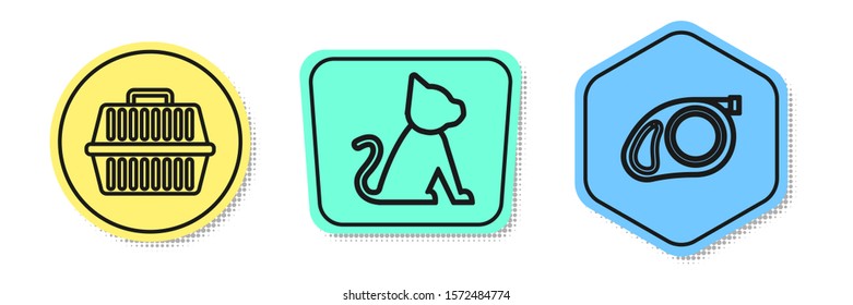 Set line Pet carry case, Cat and Retractable cord leash with carabiner. Colored shapes. Vector