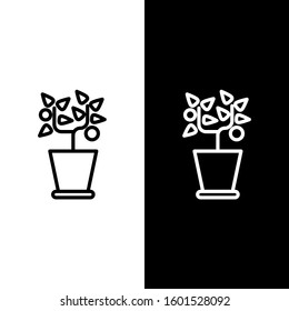 Set line Plant in pot icon isolated on black and white background. Plant growing in a pot. Potted plant sign.  Vector Illustration
