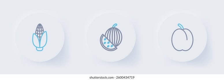 Set line Plum fruit, Watermelon and Corn icon. Vector