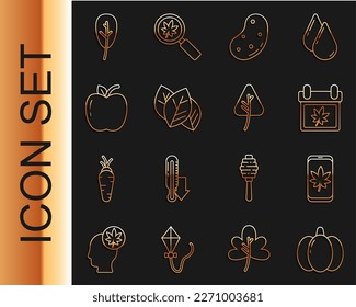 Set line Pumpkin, Leaf on mobile phone, Calendar with autumn leaves, Potato, or, Apple,  and  icon. Vector