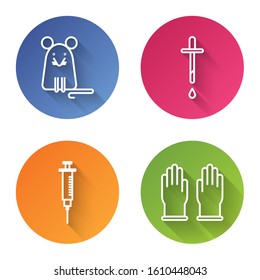 Set line Rat, Pipette, Syringe and Rubber gloves. Color circle button. Vector