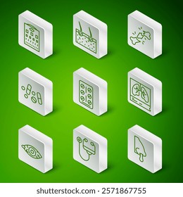 Set line Runny nose, Stethoscope, Eye test chart, Pills in blister pack, Medicine pill or tablet, Hair covering skin, Reddish eye and Lungs x-ray icon. Vector