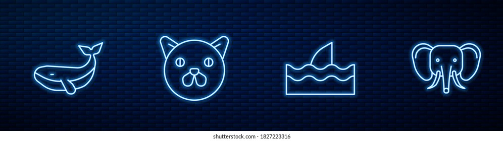Set line Shark fin in ocean wave, Whale, Cat and Elephant. Glowing neon icon on brick wall. Vector