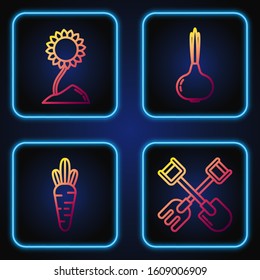 Set line Shovel and rake, Carrot, Sunflower and Onion. Gradient color icons. Vector