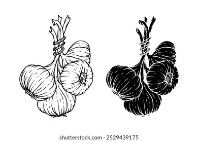  Conjunto de esboços de linha, silhuetas, carimbos de raízes de alho. Gráficos vetoriais.