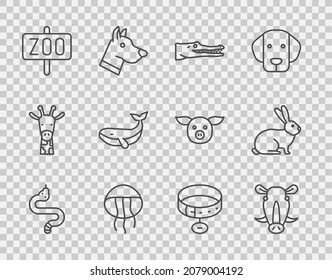 Set line Snake, Wild boar head, Crocodile, Jellyfish, Zoo park, Whale, Collar with name tag and Rabbit icon. Vector