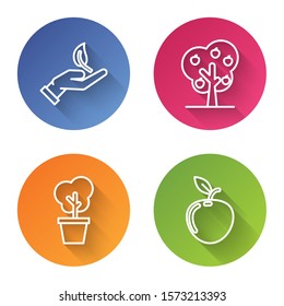 Set line Sprout in hand of environmental protection, Tree with apple, Tree in pot and Apple. Color circle button. Vector