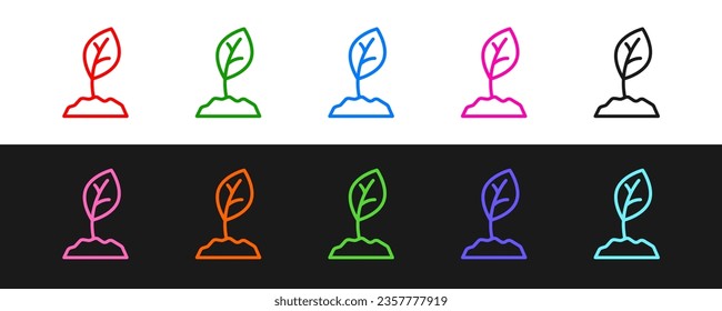 Set line Sprout icon isolated on black and white background. Seed and seedling. Leaves sign. Leaf nature.  Vector