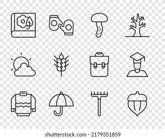 Set line Sweater, Acorn, Mushroom, Umbrella, Herbarium, Wheat, Garden rake and Graduate and graduation cap icon. Vector