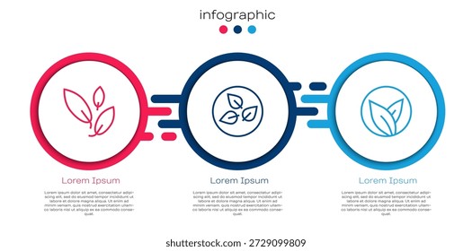 Establecer la línea de la hoja de té, y . Plantilla de infografía de negocios. Vector