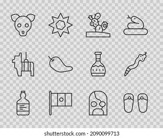 Set line Tequila bottle, Flip flops, Cactus, Mexico flag, Dog, Hot chili pepper pod, Mexican wrestler and Snake icon. Vector