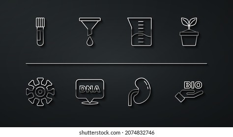 Set-Line-Reagenzglas und -Kolben, Bakterien, Pflanze in Topf, menschliche Nieren, DNA-Symbol, Funnel oder Filter, Bio gesunde Lebensmittel und Laborgläser Bechersymbol. Vektorgrafik