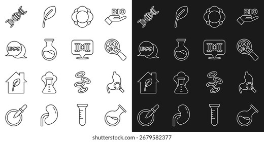 Set line Test tube and flask, Stomach with magnifying glass, Microorganisms under magnifier, Molecule, Label for eco healthy food, DNA symbol and  icon. Vector