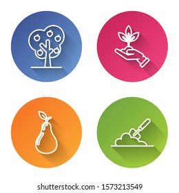 Set line Tree with apple, Plant in hand of environmental protection, Pear and Garden trowel spade or shovel in the ground. Color circle button. Vector