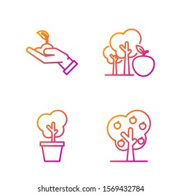 Set line Tree with apple, Tree in pot, Sprout in hand of environmental protection and Tree with apple. Gradient color icons. Vector