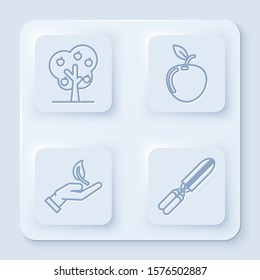 Set line Tree with apple, Apple, Sprout in hand of environmental protection and Gardening handmade scissors for trimming. White square button. Vector