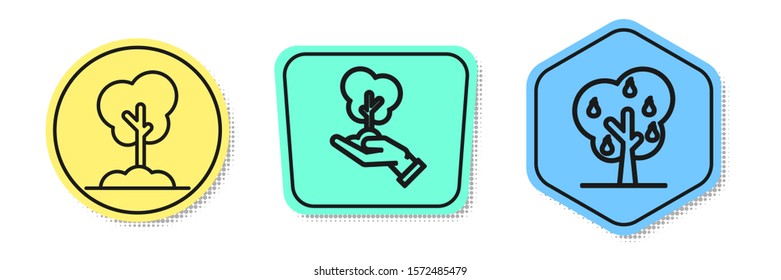 Set line Tree in the ground, Tree in hand of environmental protection and Tree with pears. Colored shapes. Vector
