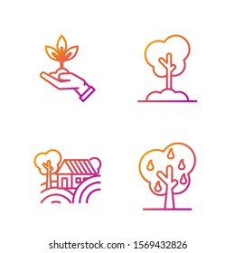 Set line Tree with pears, Farm House concept, Plant in hand of environmental protection and Tree in the ground. Gradient color icons. Vector