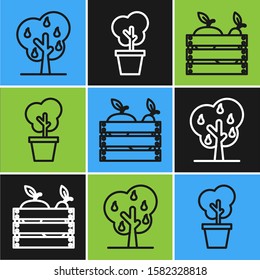 Set line Tree with pears, Wooden box for fruits and vegetables and Tree in pot icon. Vector