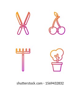 Set line Tree in pot, Garden rake, Gardening handmade scissors for trimming and Cherry. Gradient color icons. Vector