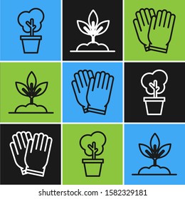 Set line Tree in pot, Garden gloves and Plant icon. Vector