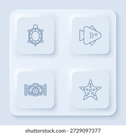 Set line Turtle, Fish, Photo camera and Starfish. White square button. Vector