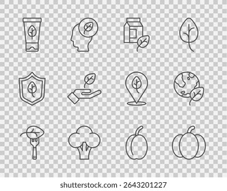 Set line Vegan food diet, Pumpkin, milk, Broccoli, Organic cosmetic, Plant hand, Plum fruit and Earth globe leaf icon. Vector