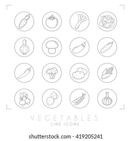 Set of line vegetable icons in line circles. Flat style. Carrot, tomato, leek, cabbage, onion, mushroom, eggplant, cucumber, pepper, broccoli, potato, corn, radish, beet root, peas, garlic.