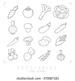 Set of line vegetable icons. Flat style. Carrot, tomato, leek, cabbage, onion, mushroom, eggplant, cucumber, pepper, broccoli, potato, corn, radish, beet root, peas, garlic.