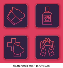 Set line Veterinary clinic symbol, Veterinary clinic symbol, Dog medicine bottle and Hands with animals footprint. Blue square button. Vector