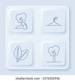 Set line Watering Tree, Sprout, Leafs and Tree. White square button. Vector