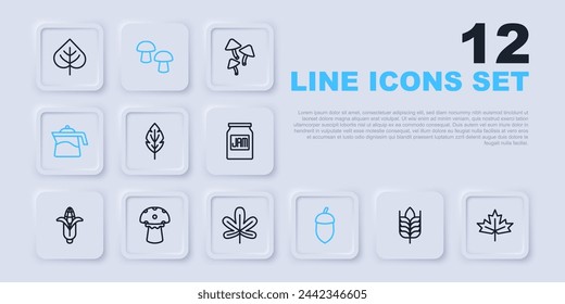 Set line Wheat, Canadian maple leaf, Leaf, Acorn, Teapot, Mushroom,  and Chestnut icon. Vector