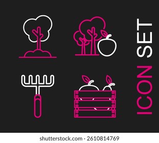 Set line Wooden box for fruits and vegetables, Garden rake, Tree with apple and in the ground icon. Vector