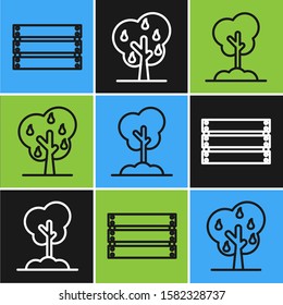 Set line Wooden box, Tree in the ground and Tree with pears icon. Vector