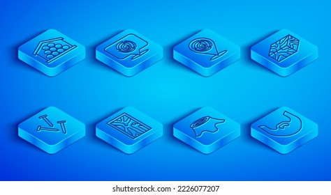 Set line Wooden logs, Closed door, Tree stump, beam, Metallic nails and Mustache and beard icon. Vector