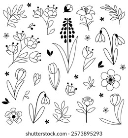 Set of linear black and white illustrations of flowers, branches and leaves