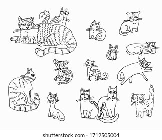 
Set of linear, decorative cats with different emotions. Seated and bed cats. Line art. Stock illustration. White background, isolate.