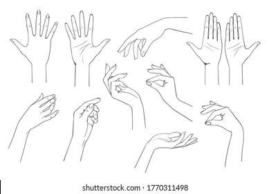 Set of linear drawing of female hands. Retro icons, emblems and logo. Vector illustration