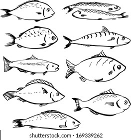 set of linear drawing fishes, vector illustration