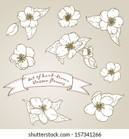 Set of linear drawing flowers of hand-drawn cherry blossom