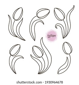 set of linear drawing tulips black and white. Different Spring Flowers.