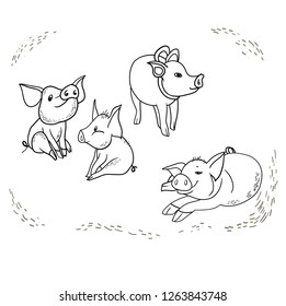 Set of linear drawings, funny pig, new year's design, cartoon hero